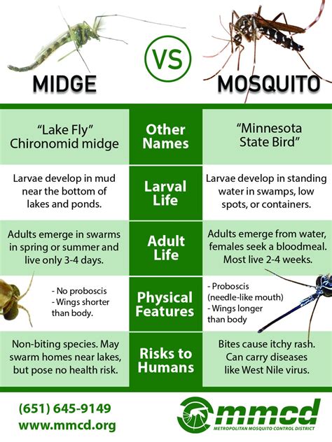 Taking Control: Midges vs Mosquitoes
